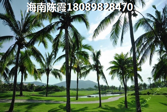 厦门单身公寓楼盘大全