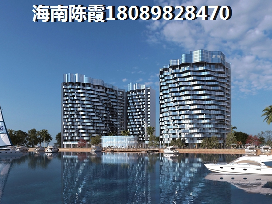 金苑假日公馆房价还会大涨吗？